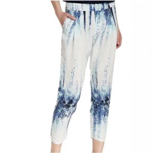 PARKER Mid-Rise Pleat Front Slim Cut Crop Ruch Leg Print Devlin Pants, RIPA,  6